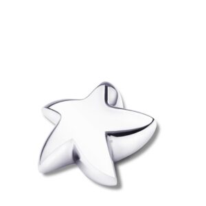 K621 STAR BRIGHT SILVER™