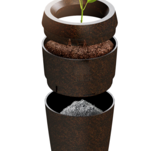 Evertree 100% biologische urn