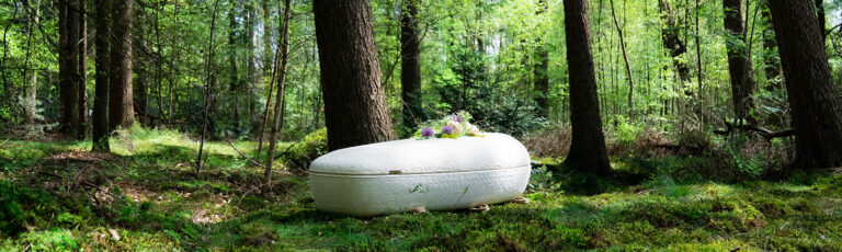 Kist van paddenstoelen