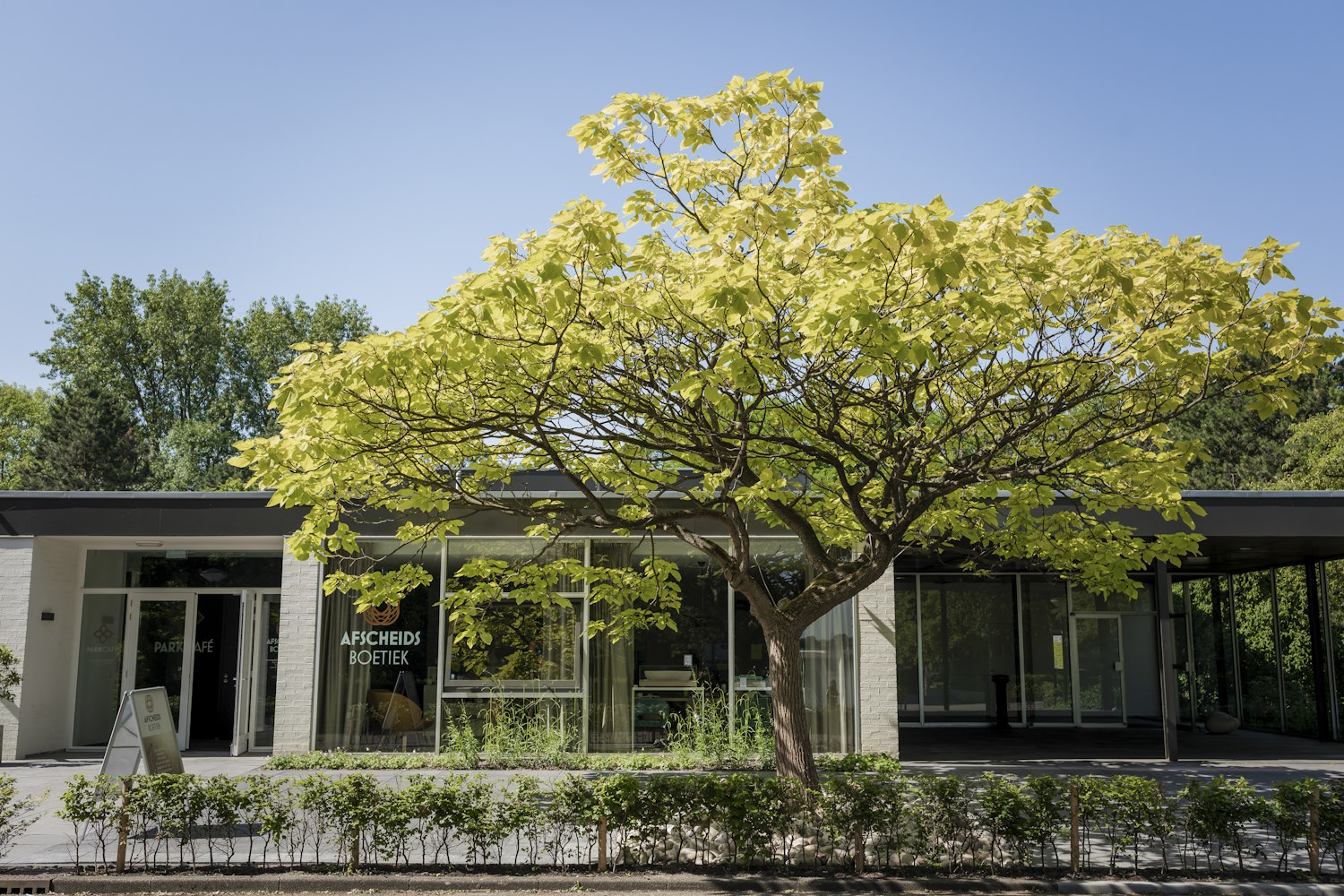 afscheidsboetiek amsterdam